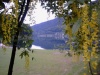 Lago di Serraia dal giardino