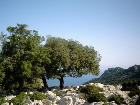 Verso Cala Goloritzé